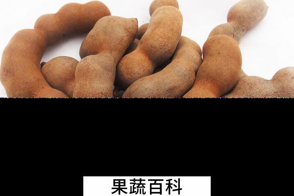 果蔬百科酸角的功效与作用