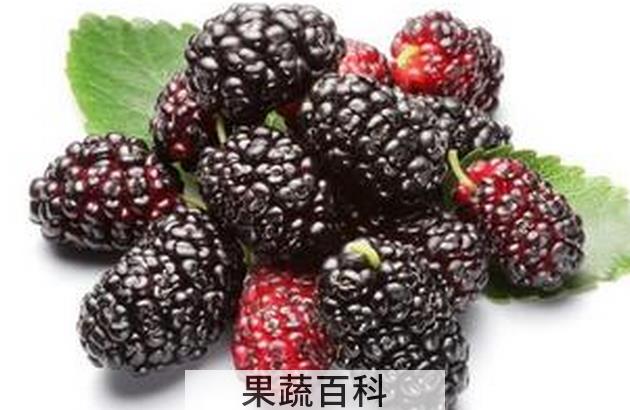 果蔬百科痛经吃什么水果好