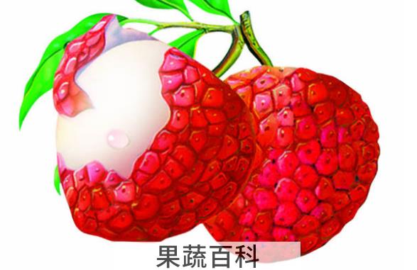 果蔬百科荔枝的食疗吃法