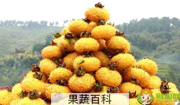 刺梨泡水可以天天喝吗，刺梨是怎样长时间保存
