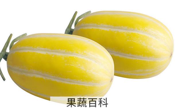 果蔬百科香瓜的药用偏方
