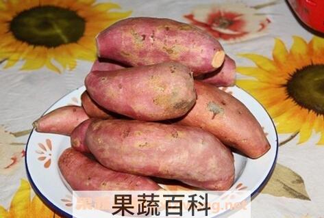 白薯不能和什么一起吃 吃白薯的禁忌