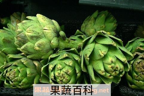 洋蓟的功效和保健作用