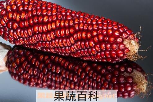  红玉米的功效与作用