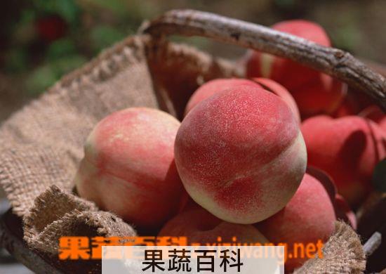 果蔬百科桃子的营养价值有哪些