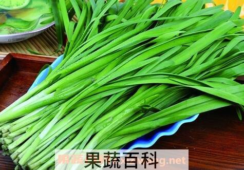 韭菜不能和什么一起吃