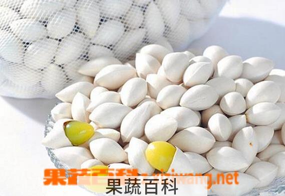 果蔬百科白果的营养价值与功效