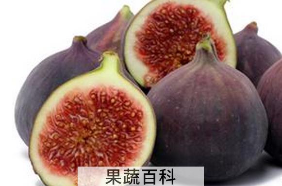 果蔬百科无花果的药用价值