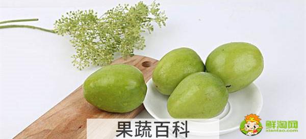 青枣和红枣是一个品种吗，台湾大青枣最新品种