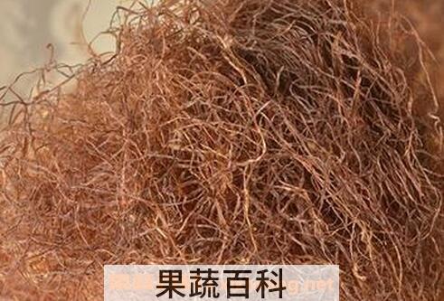 老玉米须的功效与作用