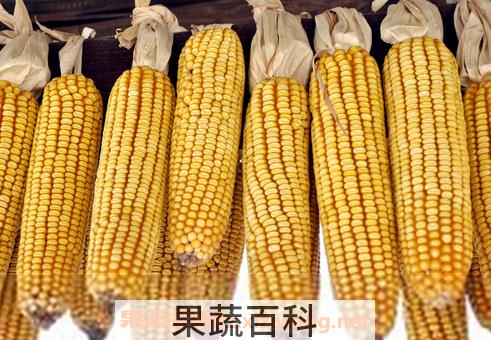 干玉米营养价值及功效