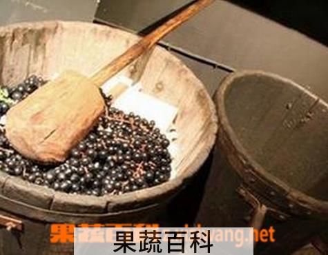 果蔬百科自酿葡萄酒变质鉴别