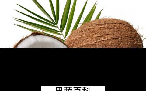 椰子的营养价值与功效