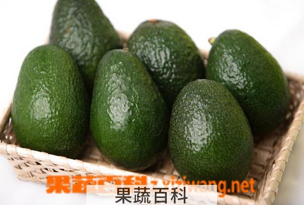 果蔬百科牛油果的营养价值与吃法