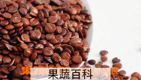果蔬百科酸枣仁图片 酸枣仁的功效与作用