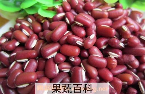 赤豆壳的功效与作用
