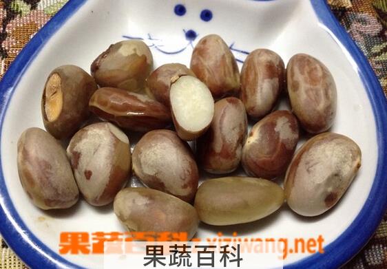 果蔬百科菠萝蜜籽剔骨肉汤怎么做