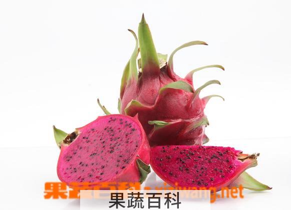 果蔬百科火龙果的热量高吗 一个火龙果的热量