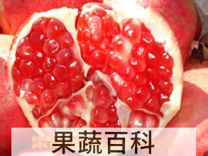 果蔬百科石榴内皮的功效与作用