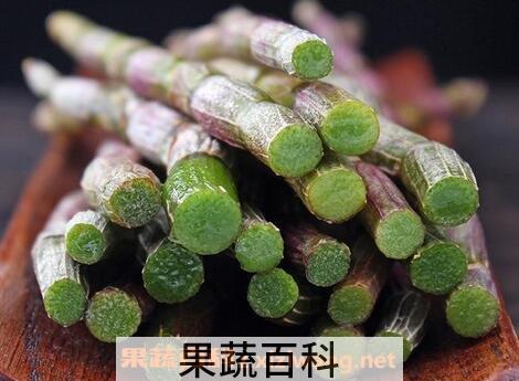 新鲜石斛的功效与作用