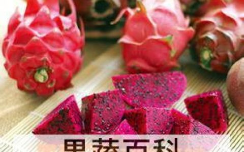 火龙果有啥营养吃了有啥好处 火龙果的营养价值高吗