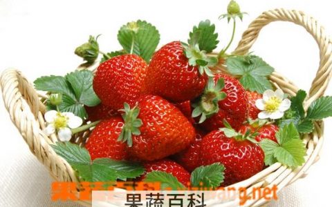 吃草莓的功效和作用 吃草莓有什么好吃