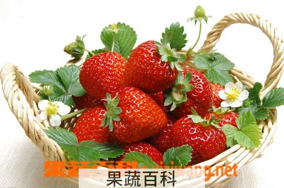 果蔬百科吃草莓的好处