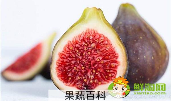 新鲜无花果是软的吗，新鲜无花果是硬的还是软的