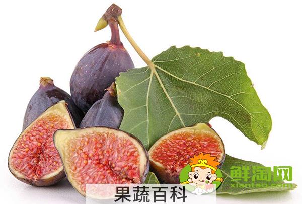 新鲜无花果是软的吗，新鲜无花果是硬的还是软的