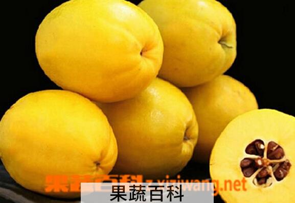 果蔬百科酸木瓜的功效与作用