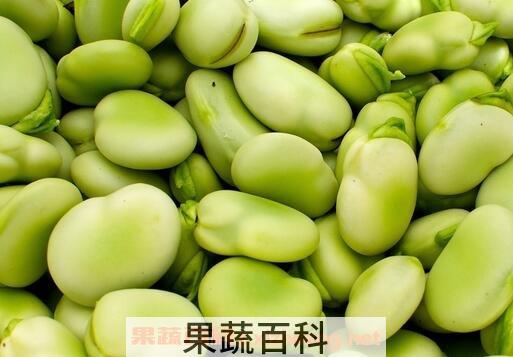 吃蚕豆的好处
