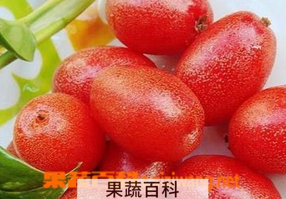 果蔬百科羊奶果的功效与作用