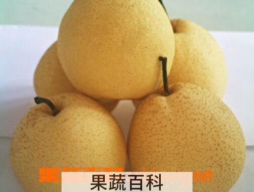 果蔬百科梨子皮能吃吗