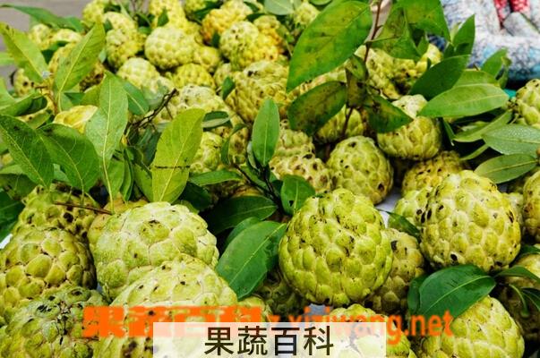 果蔬百科佛头果怎么吃