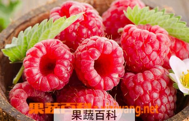 果蔬百科树莓的功效与作用