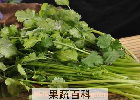 香菜煮水的功效