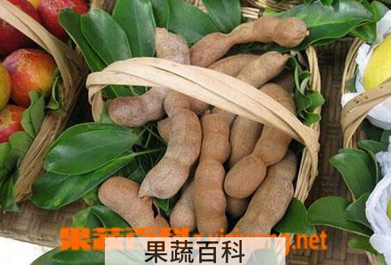 果蔬百科酸角的功效与作用