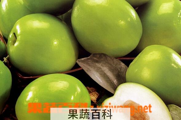 果蔬百科贵妃枣的功效与作用