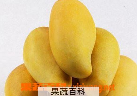 果蔬百科腰芒的功效与作用