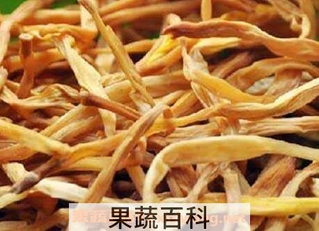 针菜根的功效和作用