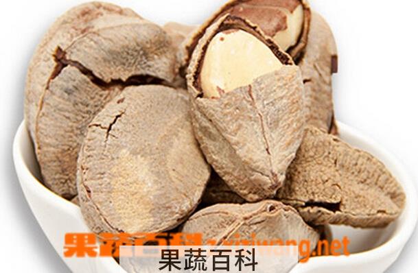 果蔬百科鲍鱼果的功效与作用