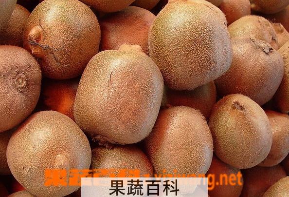 果蔬百科吃猕猴桃的好处