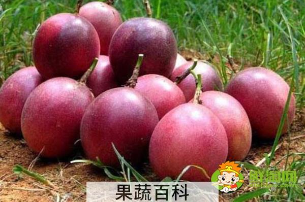 哪一种百香果好吃，百香果是大的好吃还是小的好吃