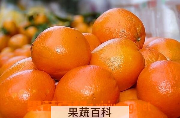 果蔬百科芦柑的功效与作用