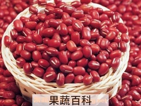 红小豆的功效与作用及食用方法