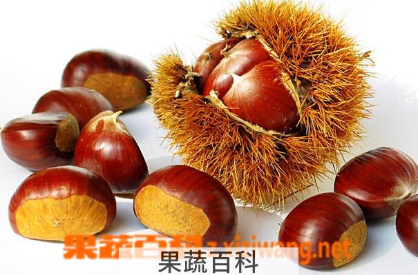 果蔬百科生吃板栗的六大好处