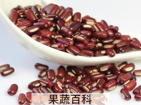 赤小豆的功效与作用