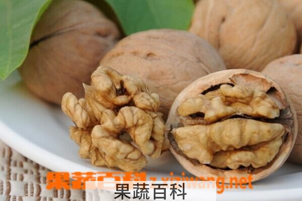 果蔬百科吃核桃会发胖吗