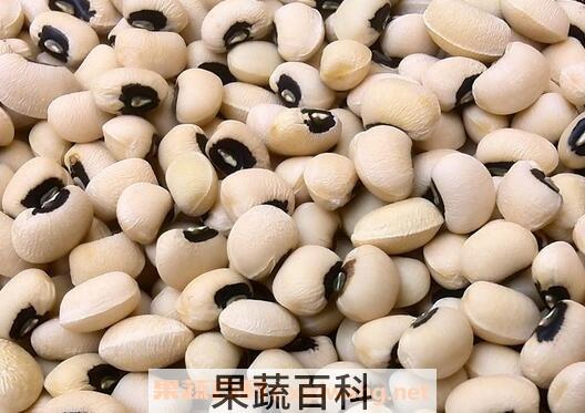 眉豆的功效与作用
