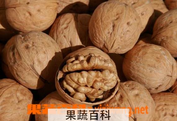 果蔬百科常吃核桃的好处